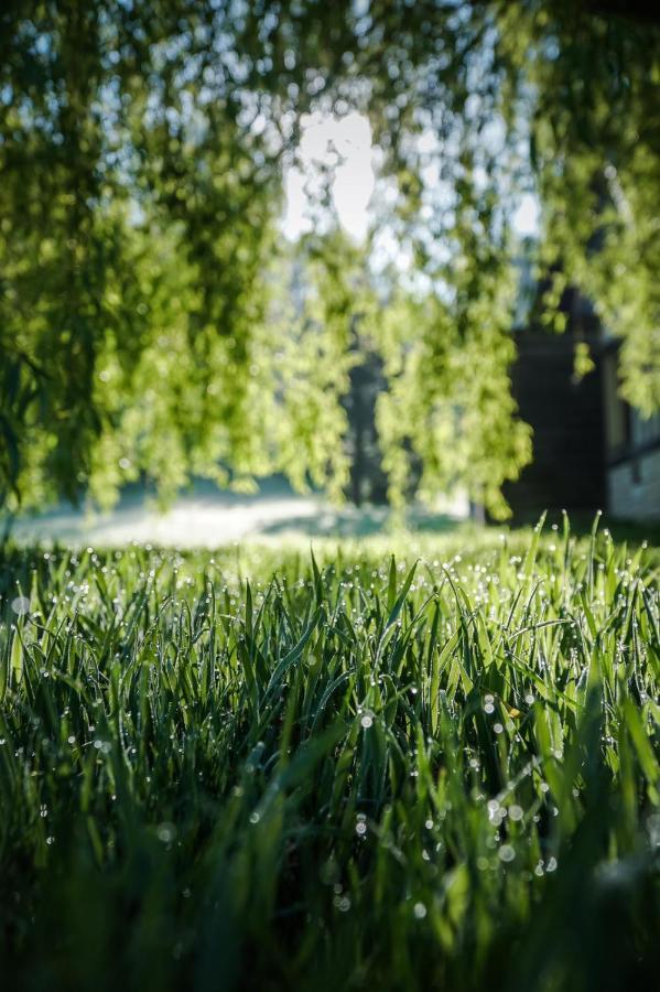 L'Herbe Haute Онфльор Екстериор снимка
